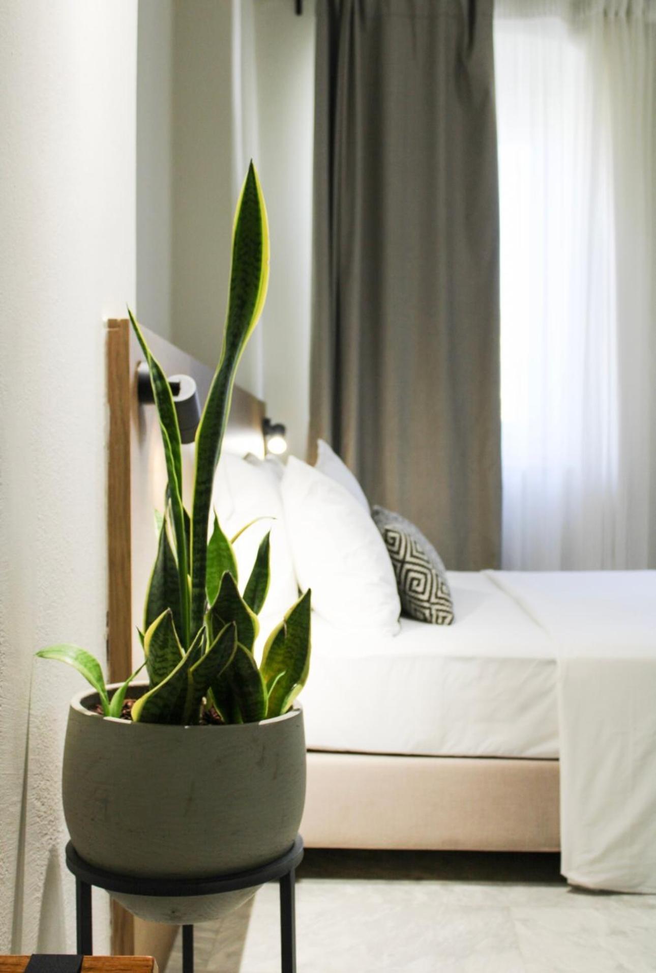 Oiko Mini Suites Ermoúpoli Eksteriør bilde